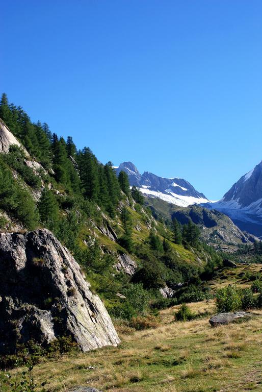 Alpenhotel Zur Wildi Lauchernalp Wiler Dış mekan fotoğraf